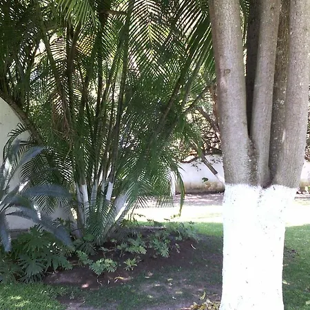 Villa Iyautli-2